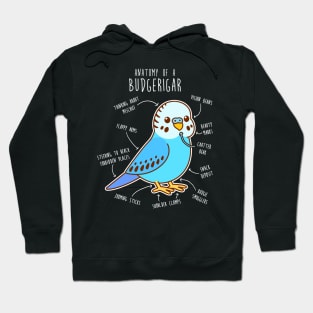 Blue Budgie Anatomy Hoodie